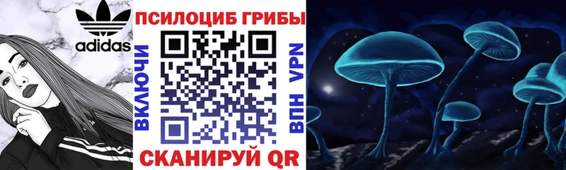 где купить   Мамадыш  Галлюциногенные грибы MAGIC MUSHROOMS 